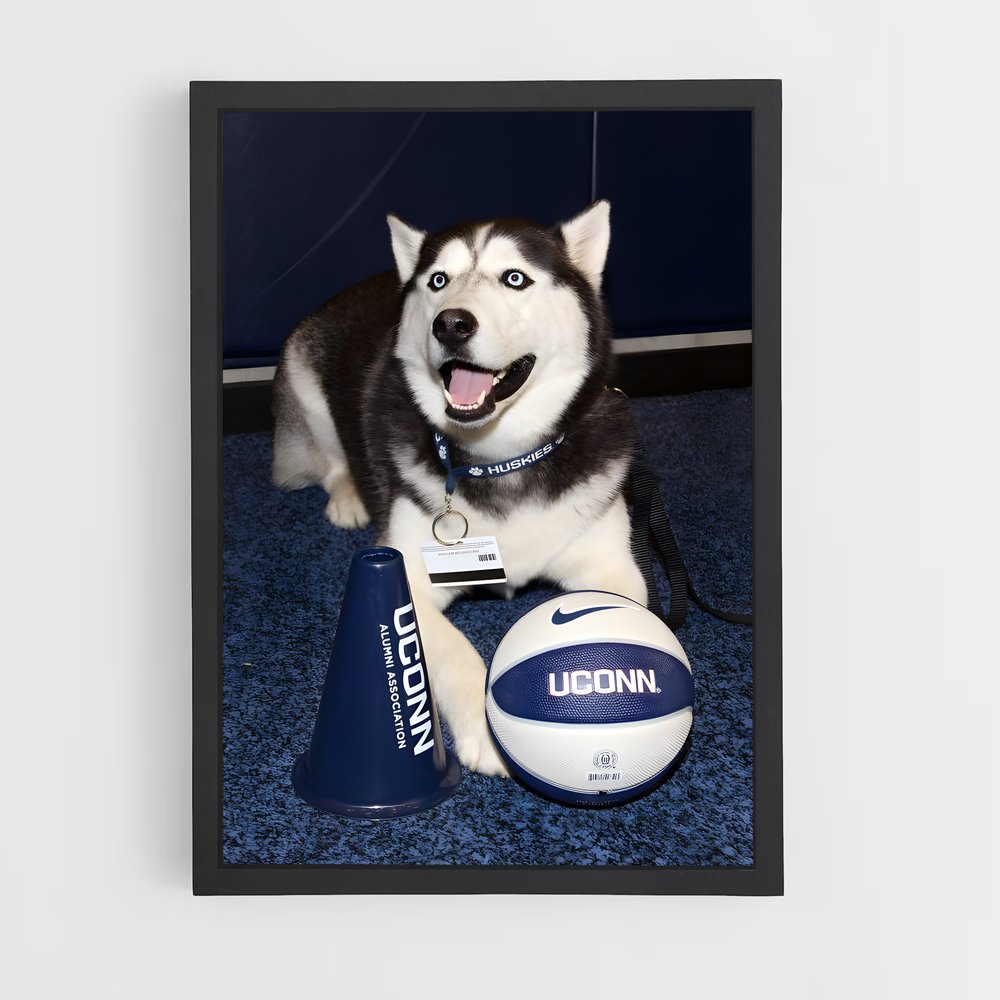 Poster Husky Touchdown – affiche Basketball (vue 2)